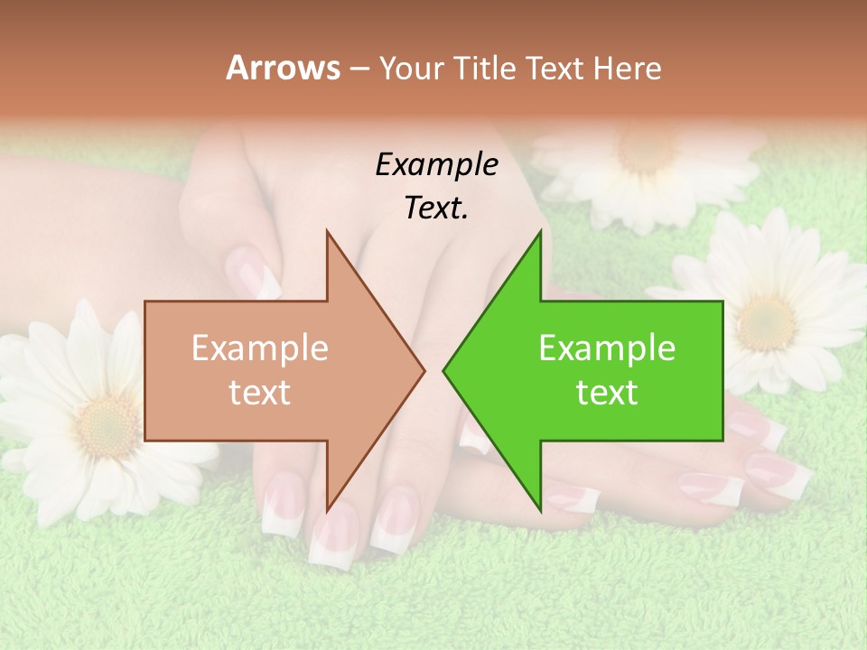 Soft Healthcare French PowerPoint Template