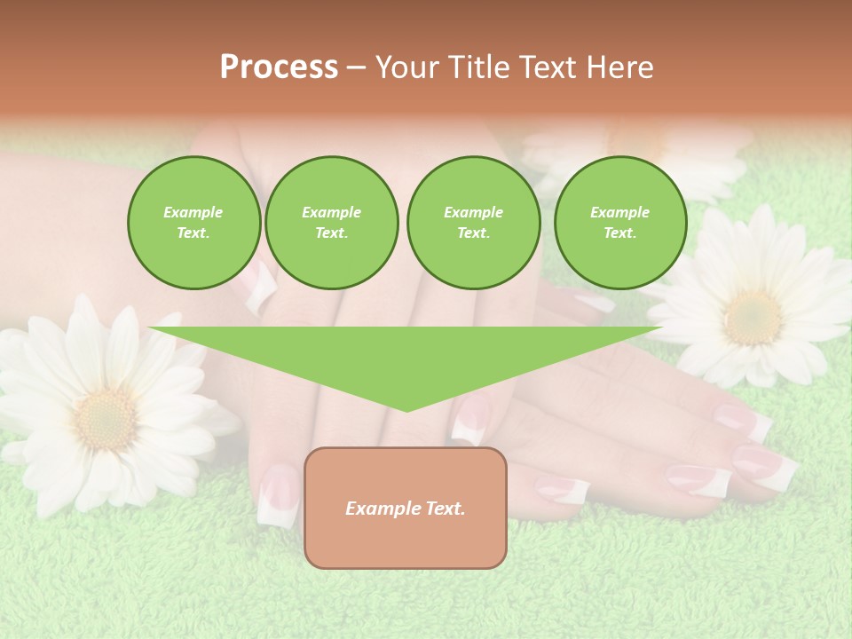 Soft Healthcare French PowerPoint Template