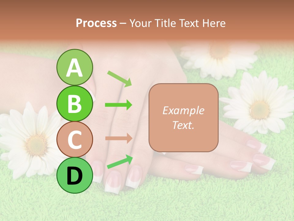 Soft Healthcare French PowerPoint Template