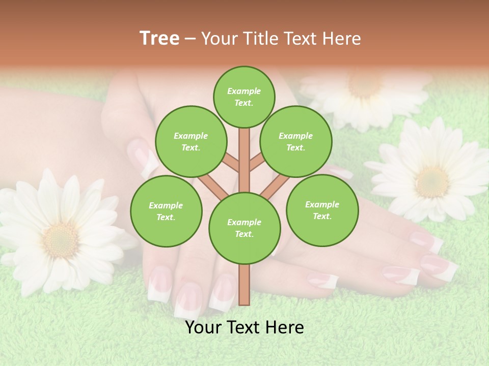 Soft Healthcare French PowerPoint Template