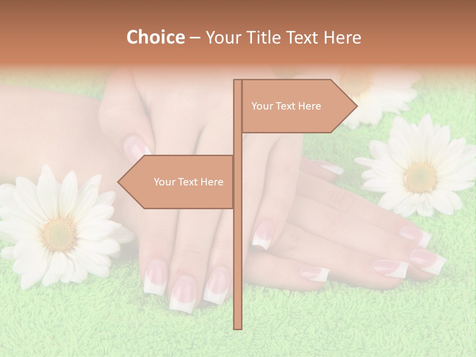 Soft Healthcare French PowerPoint Template