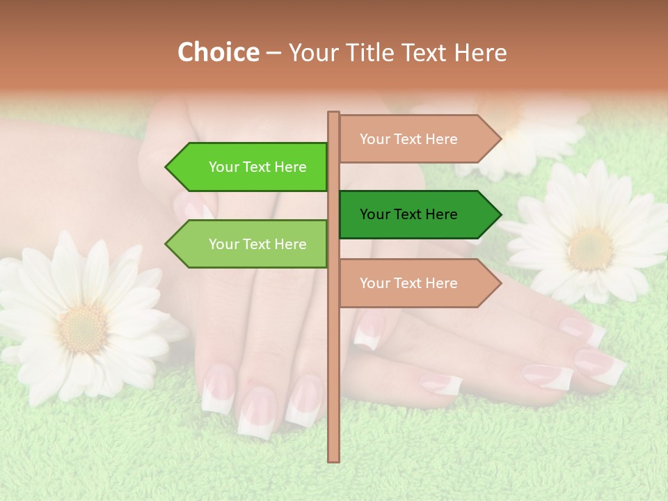 Soft Healthcare French PowerPoint Template