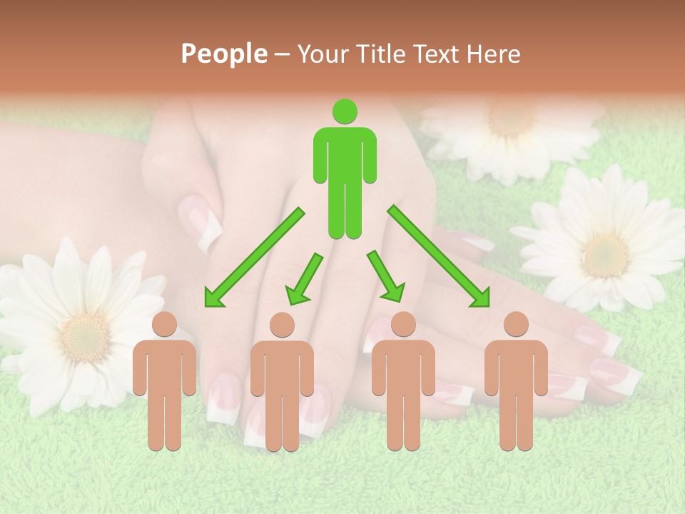 Soft Healthcare French PowerPoint Template