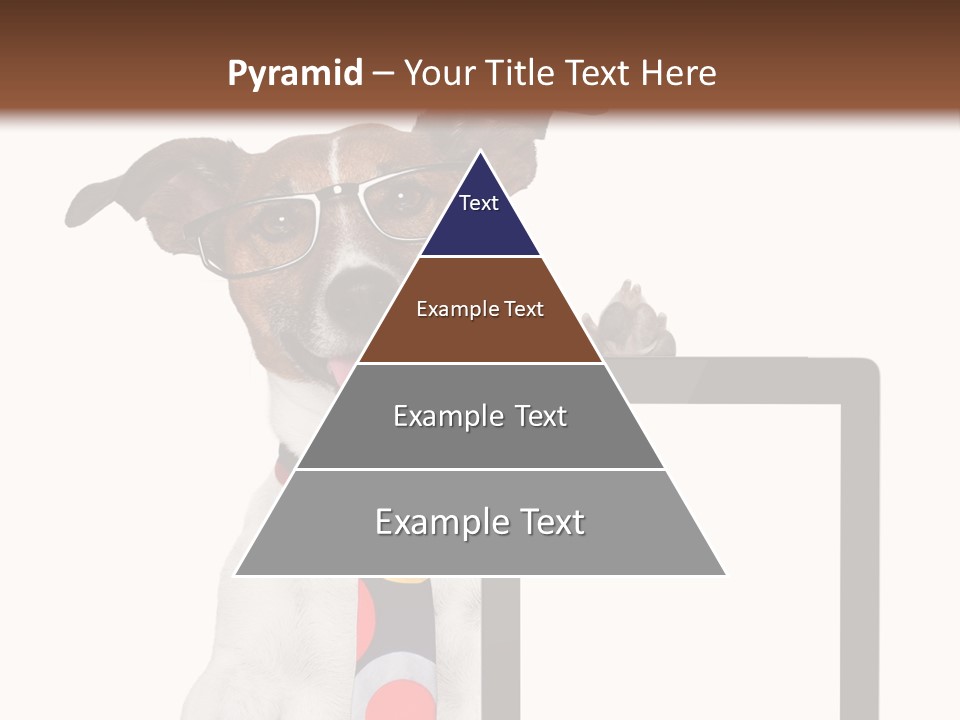 Communication Isolated Business PowerPoint Template