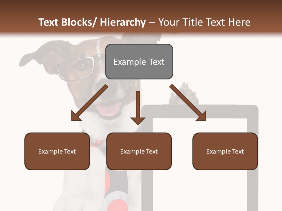 Communication Isolated Business PowerPoint Template