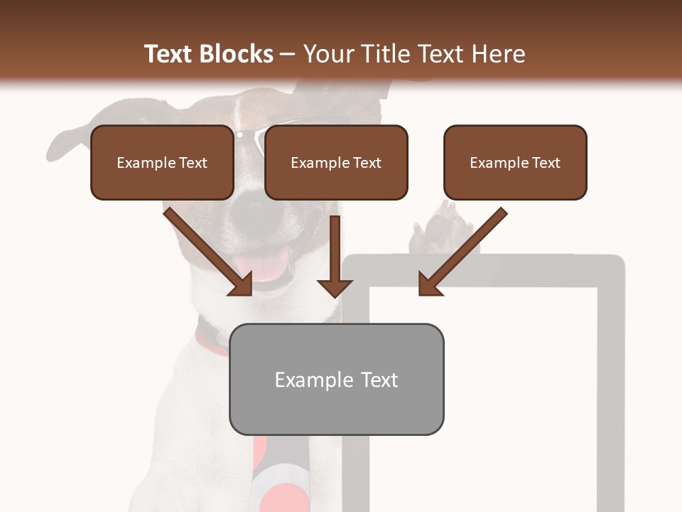 Communication Isolated Business PowerPoint Template