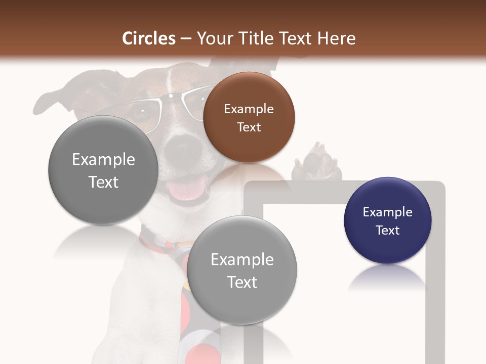 Communication Isolated Business PowerPoint Template