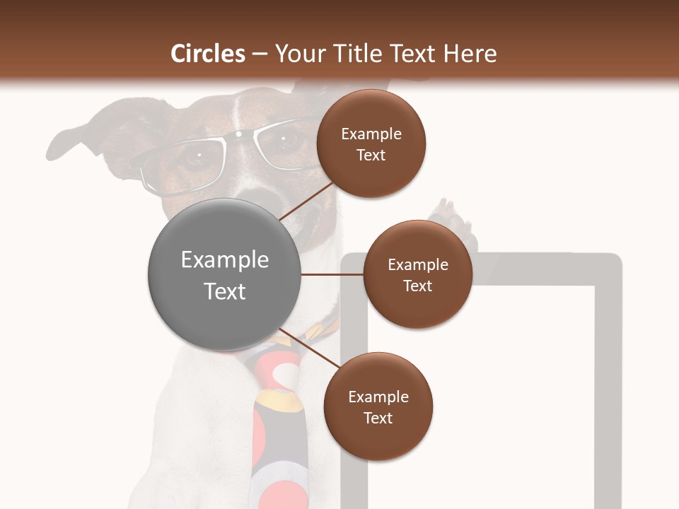 Communication Isolated Business PowerPoint Template