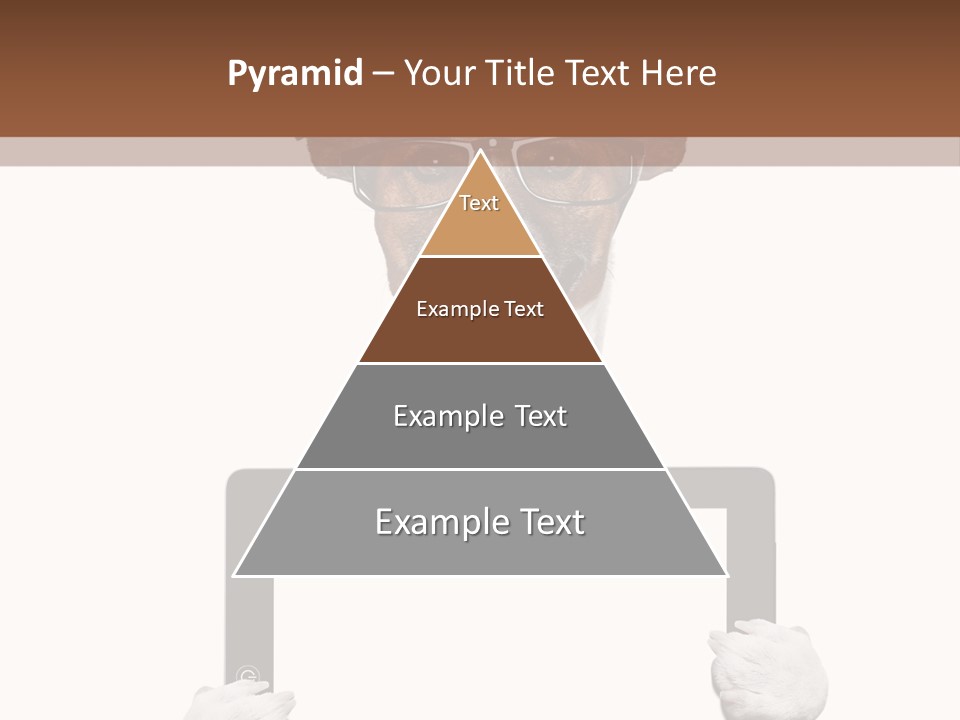Background Occupation Paper PowerPoint Template