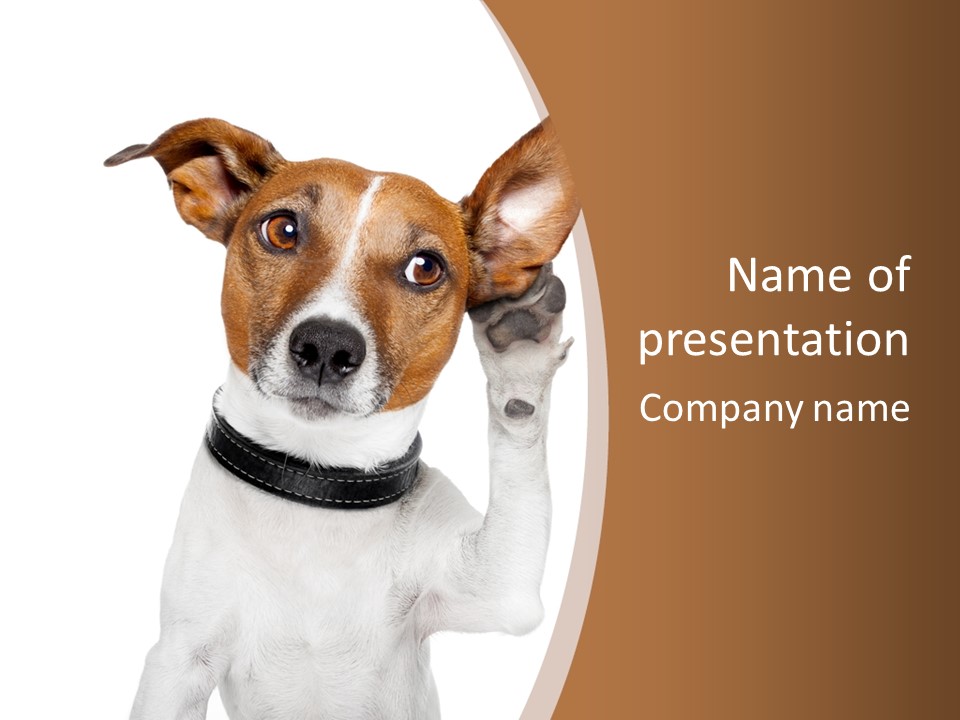 Mystery Gesture Dog PowerPoint Template