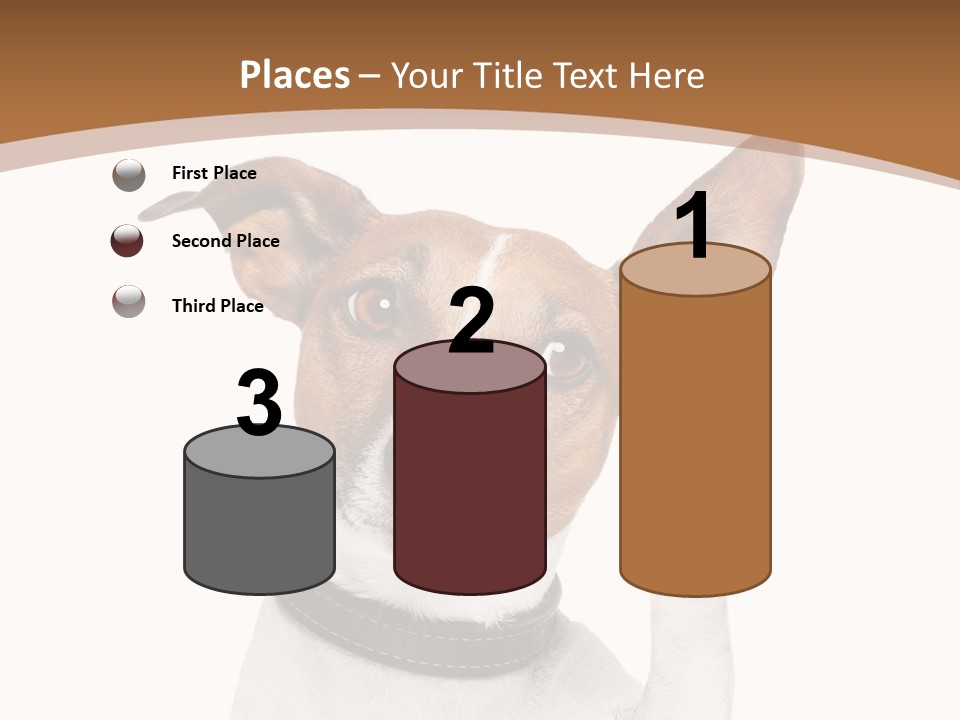 Mystery Gesture Dog PowerPoint Template