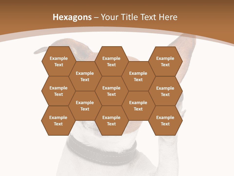 Mystery Gesture Dog PowerPoint Template