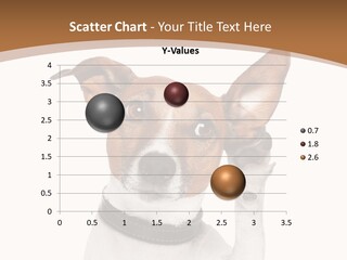 Mystery Gesture Dog PowerPoint Template