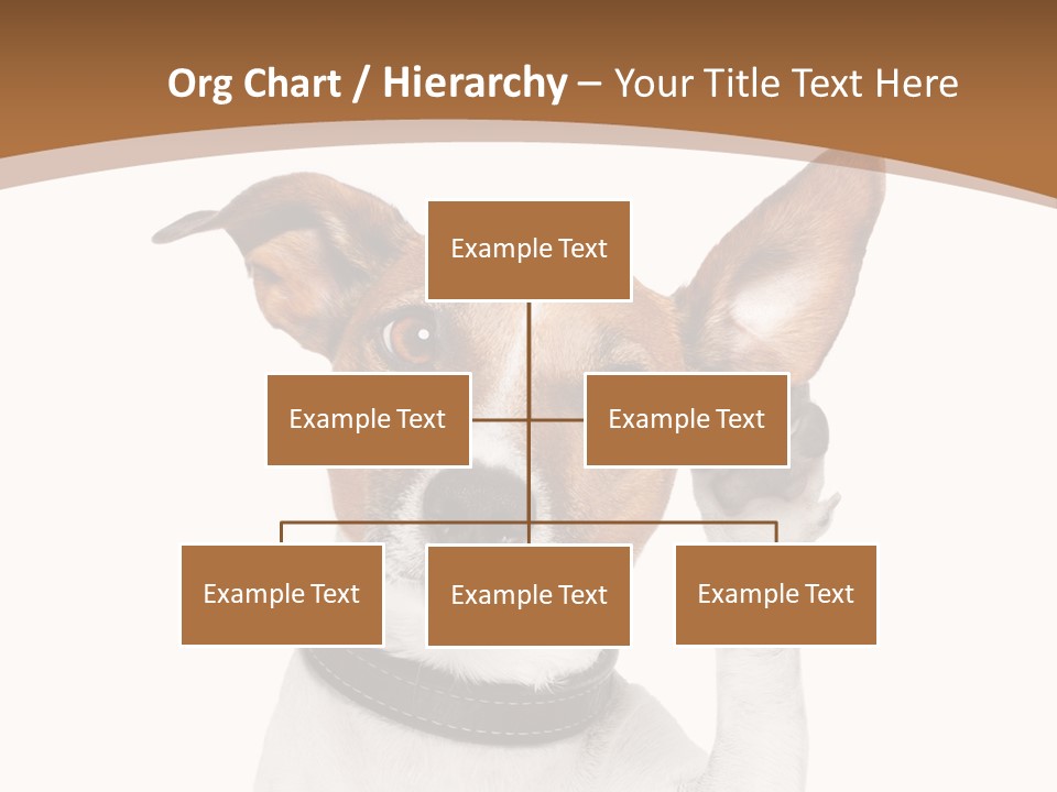 Mystery Gesture Dog PowerPoint Template