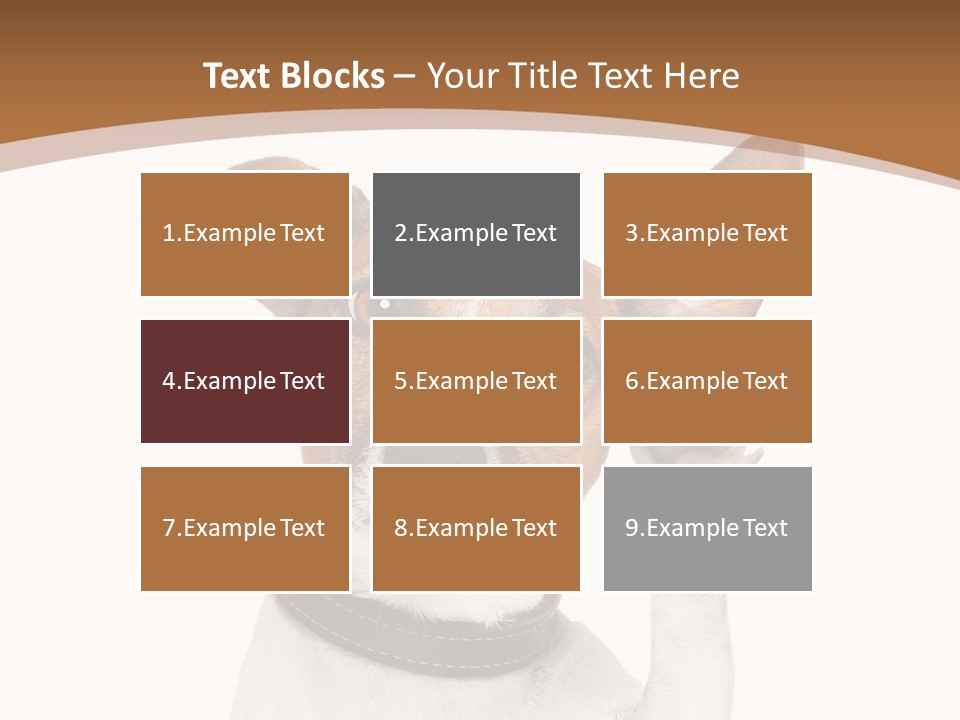 Mystery Gesture Dog PowerPoint Template