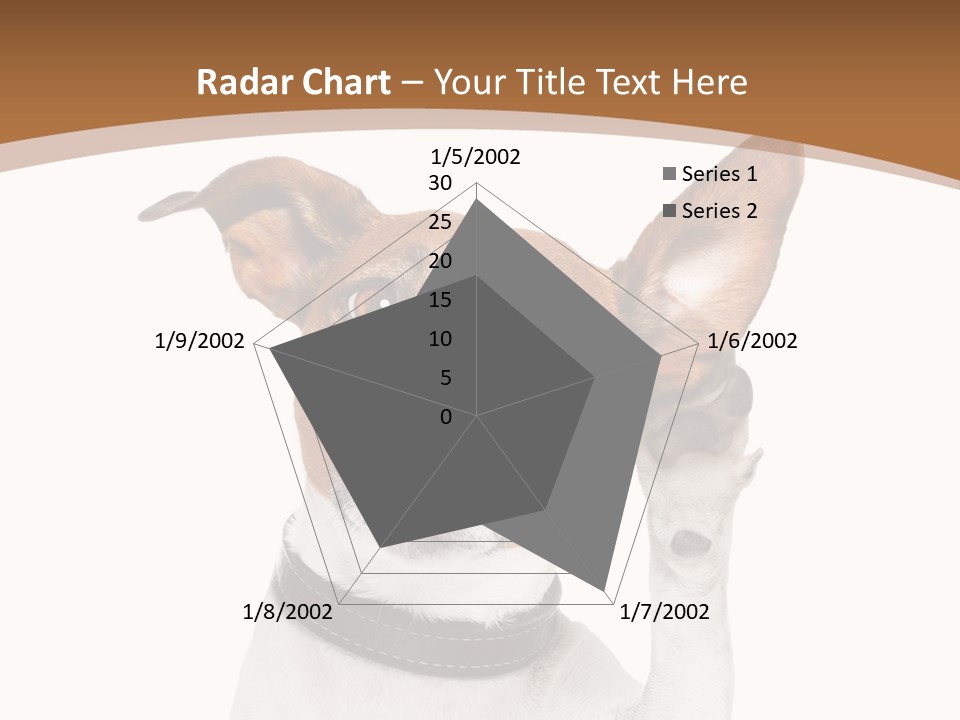 Mystery Gesture Dog PowerPoint Template