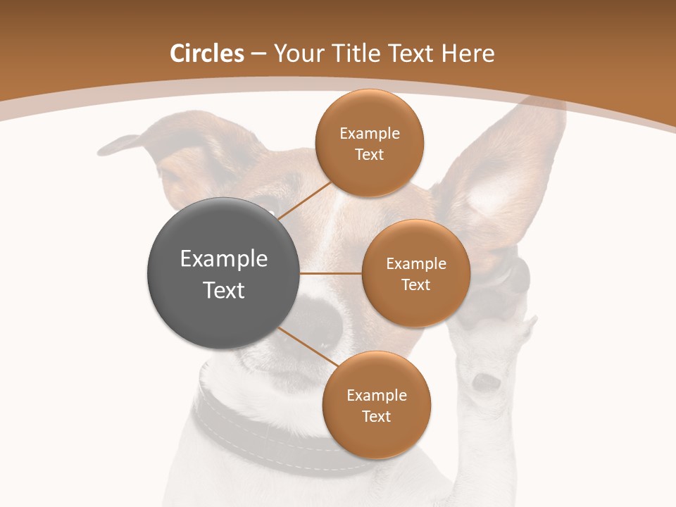 Mystery Gesture Dog PowerPoint Template