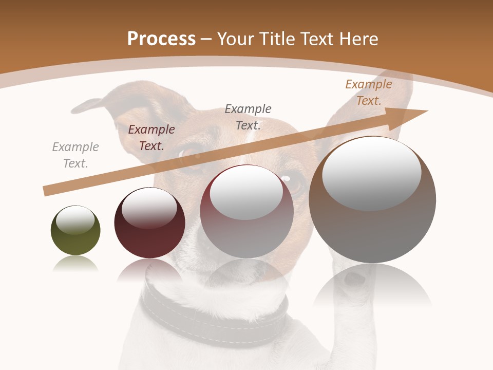 Mystery Gesture Dog PowerPoint Template