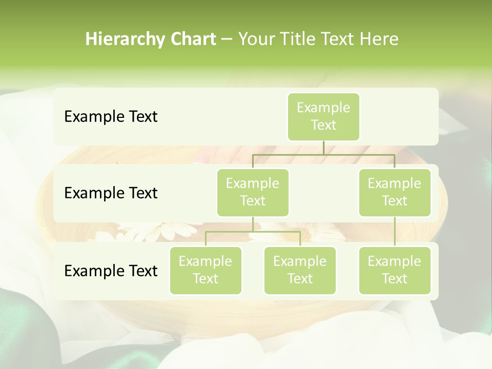 Therapy Wet Wooden PowerPoint Template