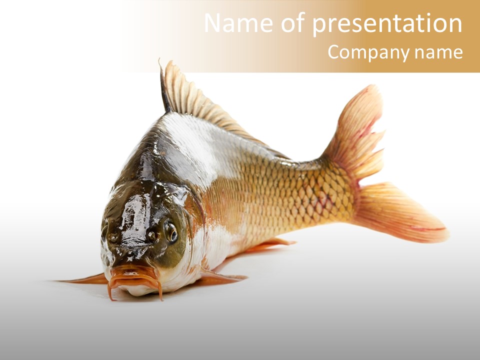 Mouth Large Underwater PowerPoint Template