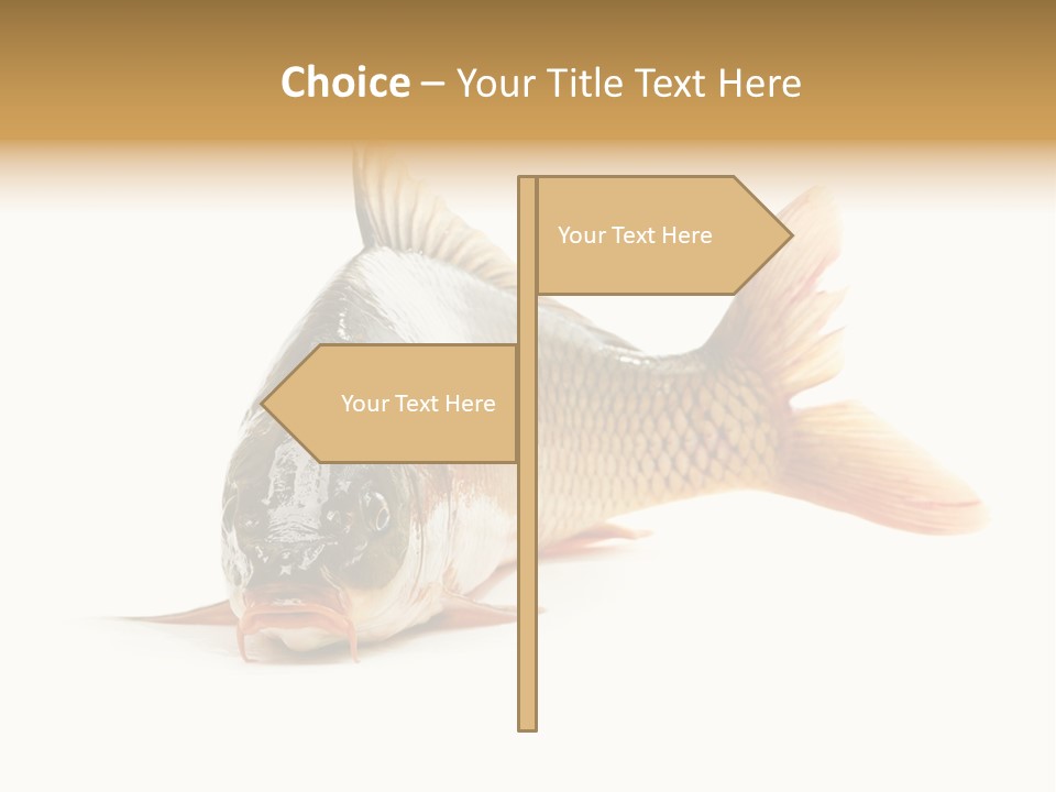 Mouth Large Underwater PowerPoint Template