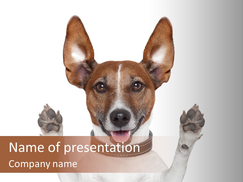 Expressive Creepy Joke PowerPoint Template