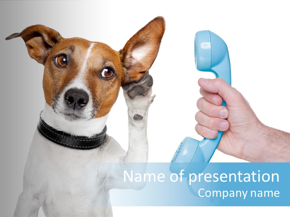 Voice Russell White PowerPoint Template