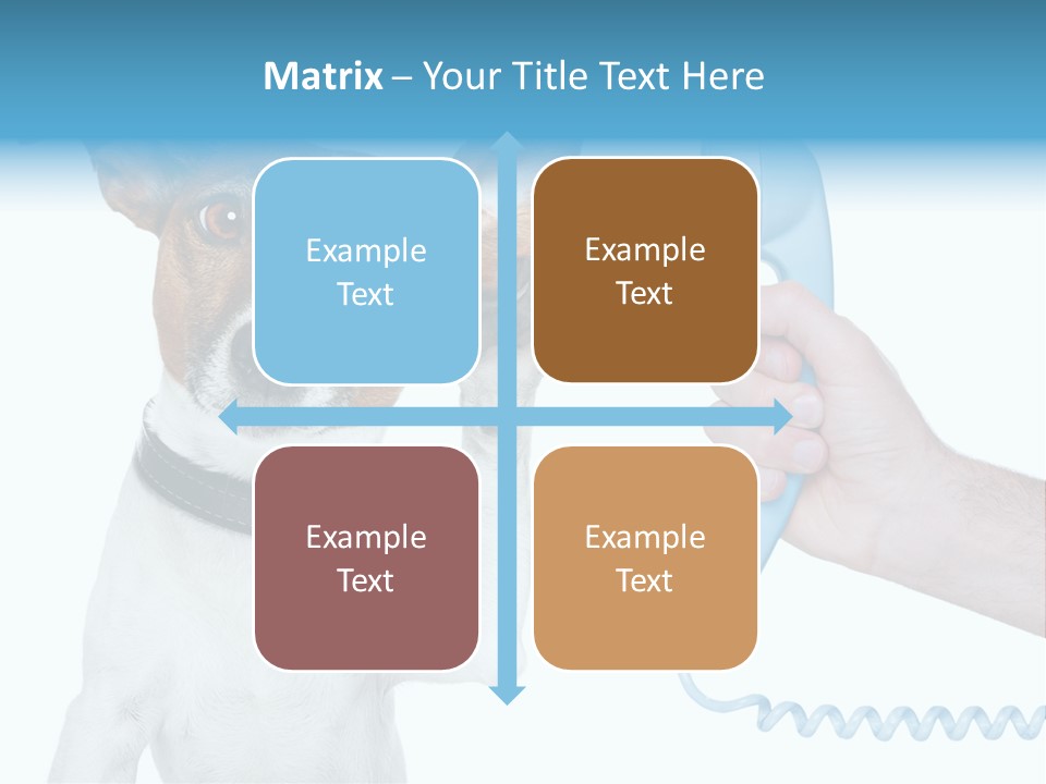 Voice Russell White PowerPoint Template