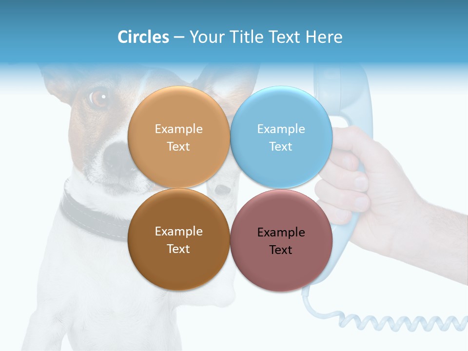 Voice Russell White PowerPoint Template