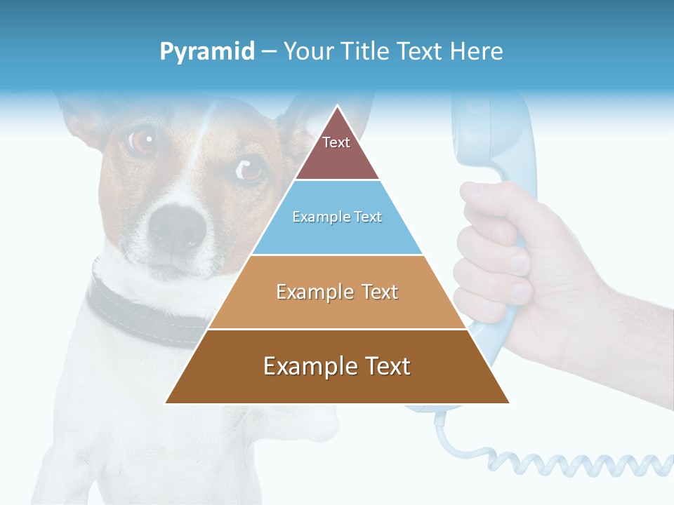Voice Russell White PowerPoint Template