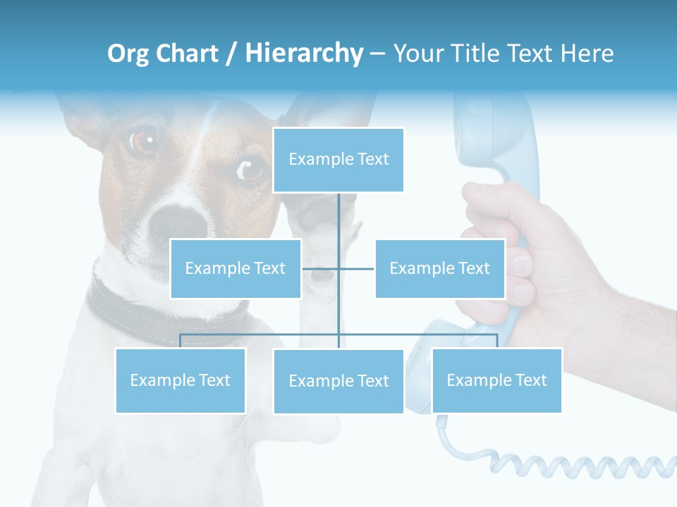 Voice Russell White PowerPoint Template