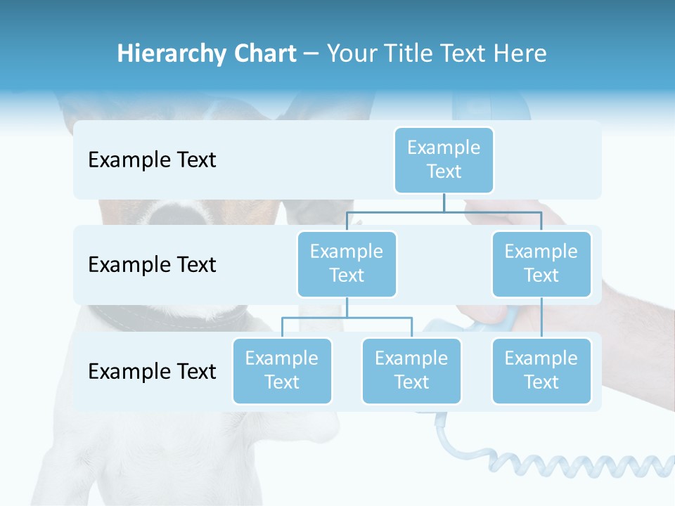 Voice Russell White PowerPoint Template