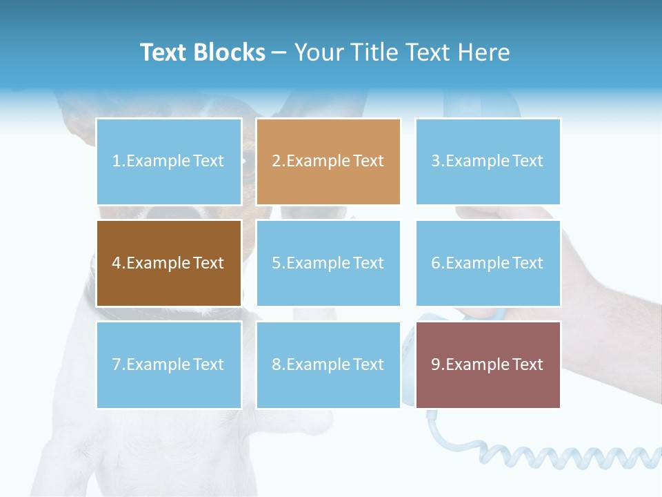 Voice Russell White PowerPoint Template