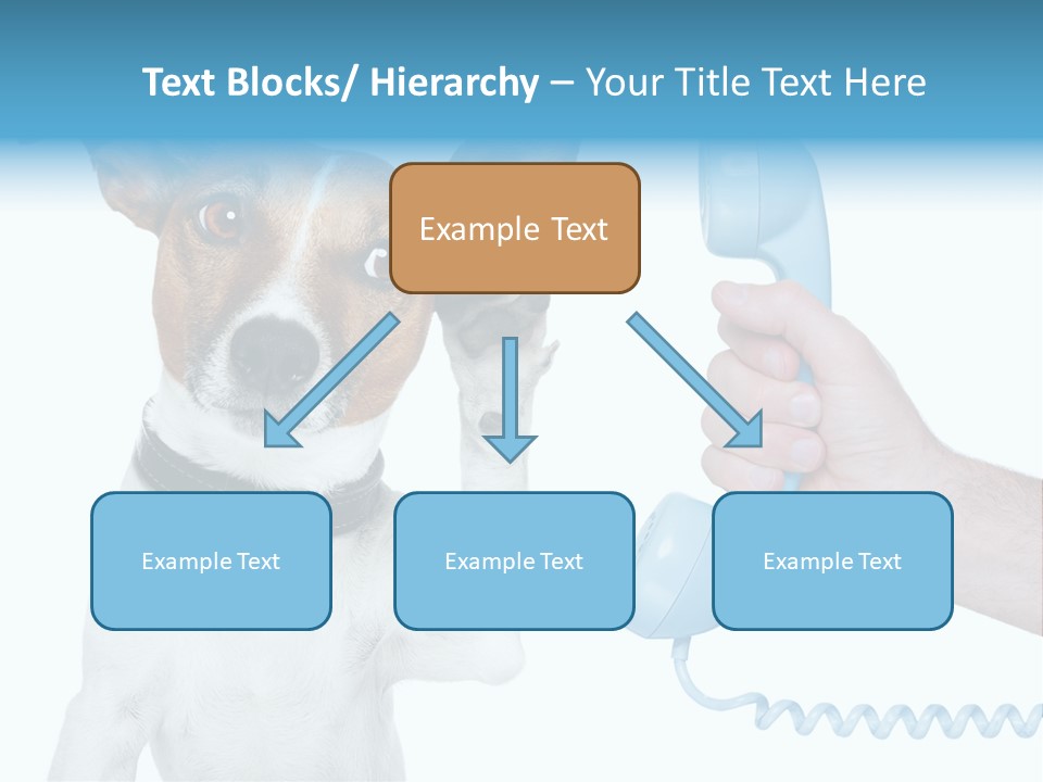Voice Russell White PowerPoint Template