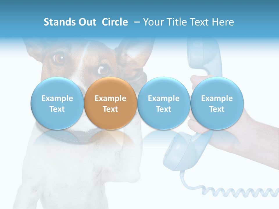 Voice Russell White PowerPoint Template