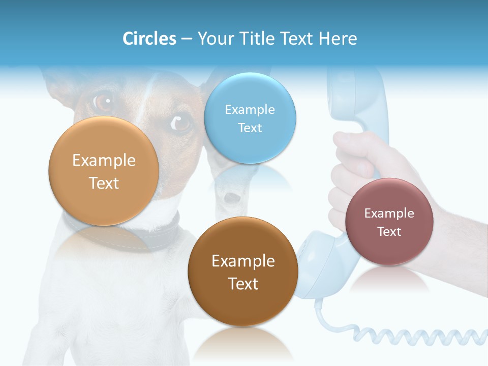 Voice Russell White PowerPoint Template