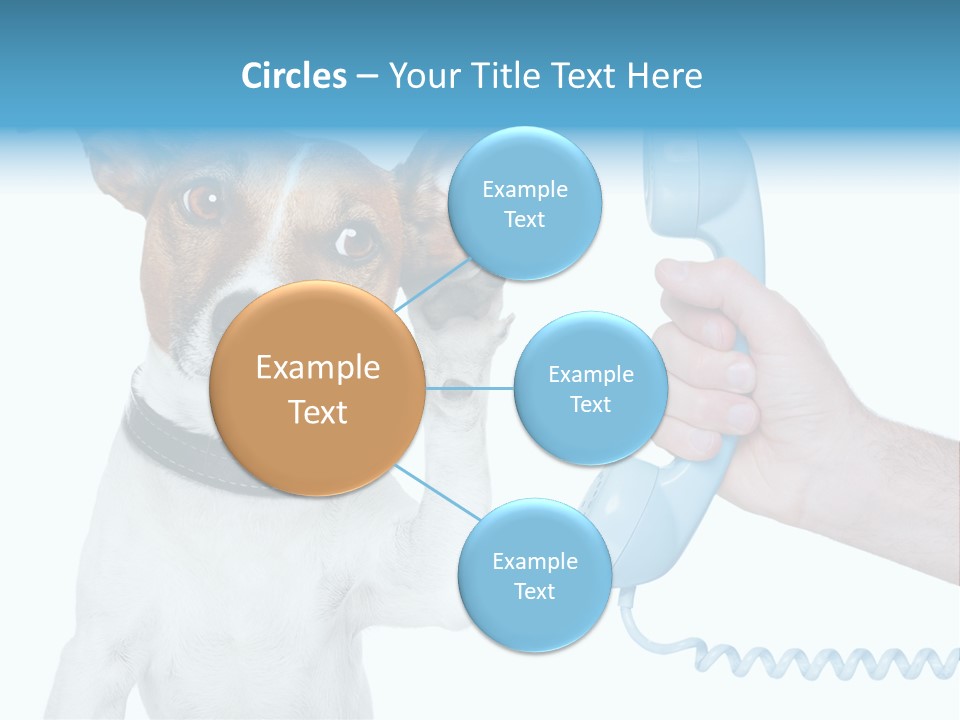 Voice Russell White PowerPoint Template