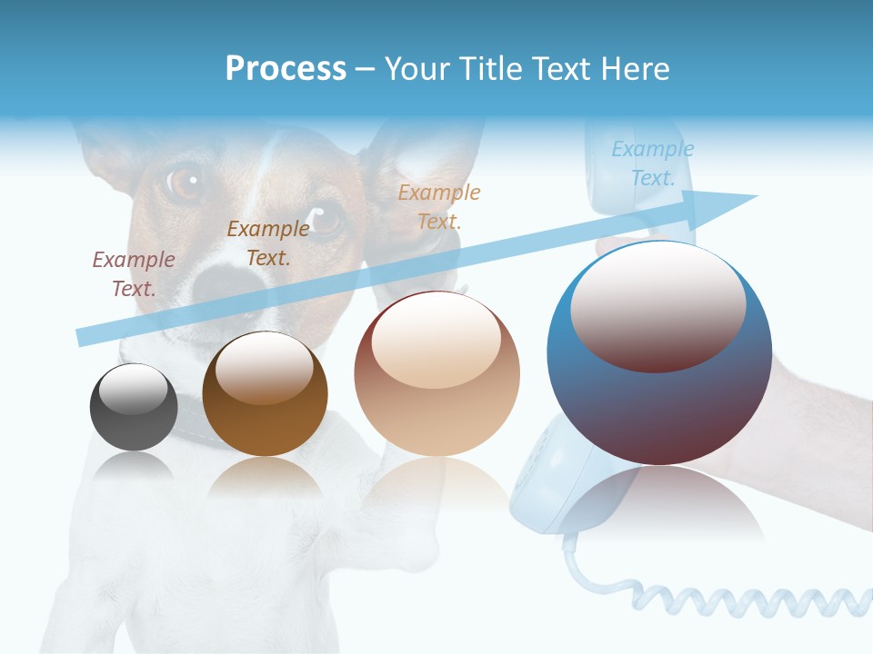 Voice Russell White PowerPoint Template