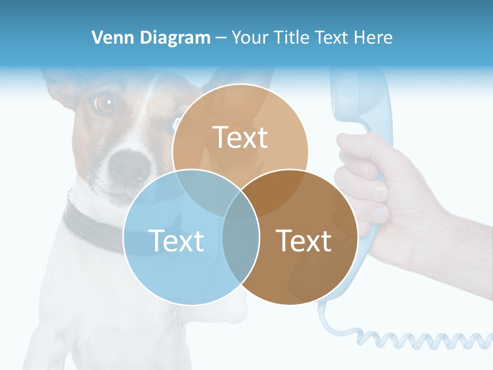 Voice Russell White PowerPoint Template