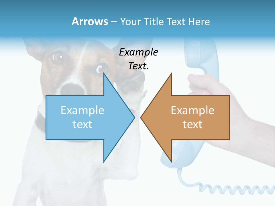 Voice Russell White PowerPoint Template