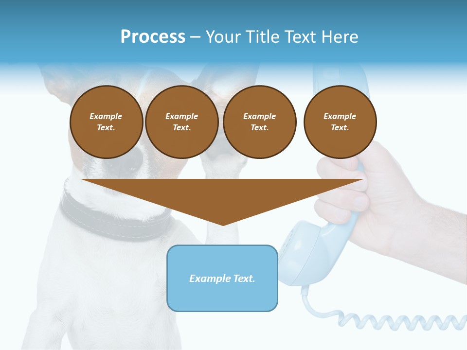 Voice Russell White PowerPoint Template