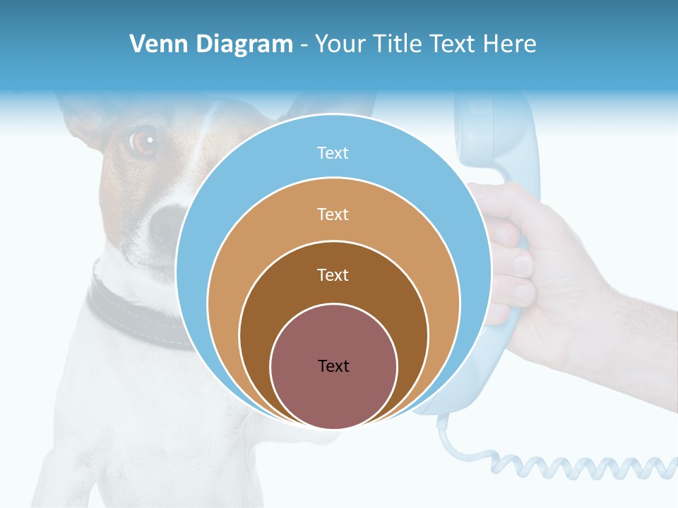 Voice Russell White PowerPoint Template