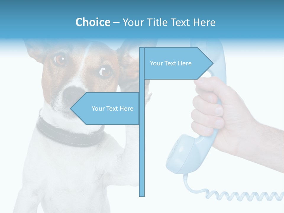 Voice Russell White PowerPoint Template