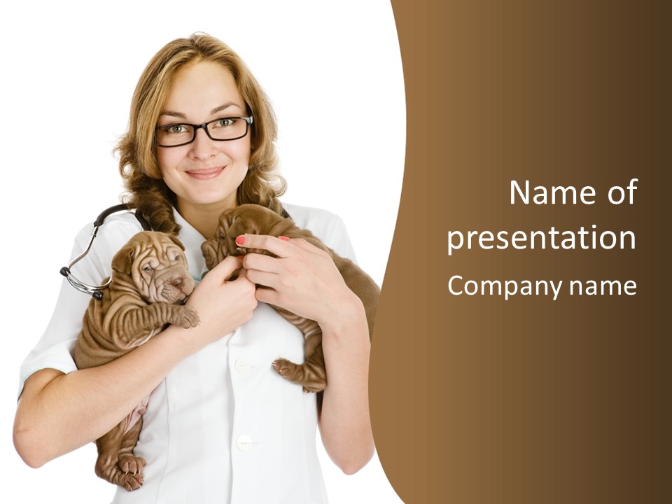 Adult Wrinkle Breed PowerPoint Template