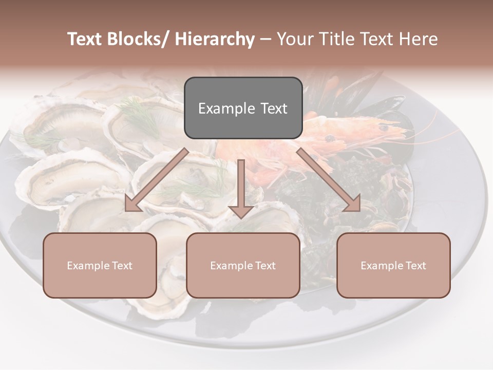 Shrimp Crustacean Cuisine PowerPoint Template