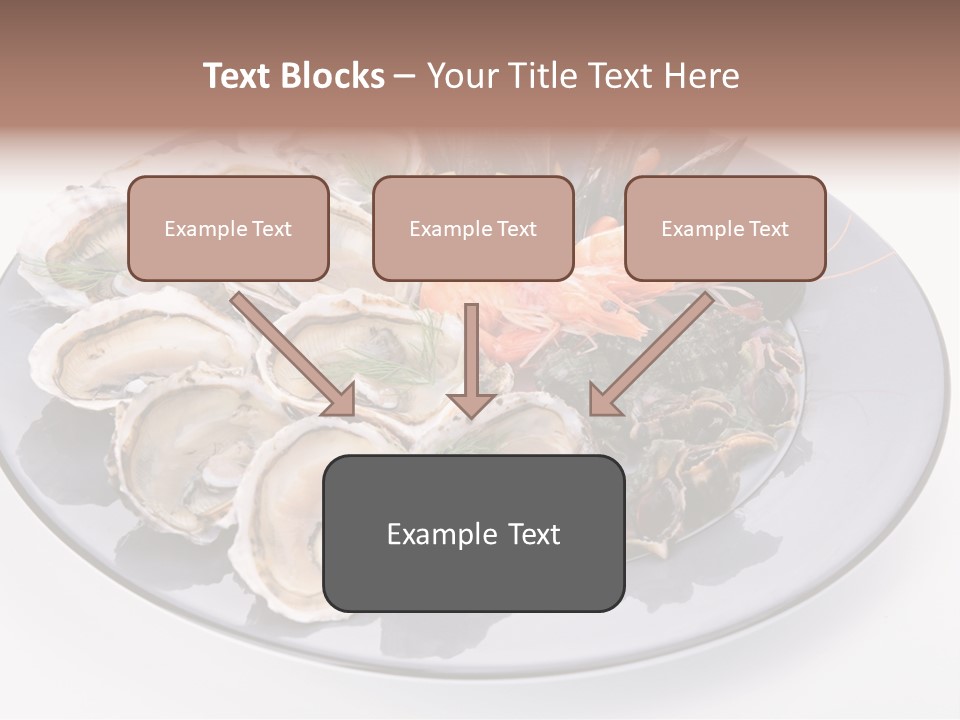 Shrimp Crustacean Cuisine PowerPoint Template