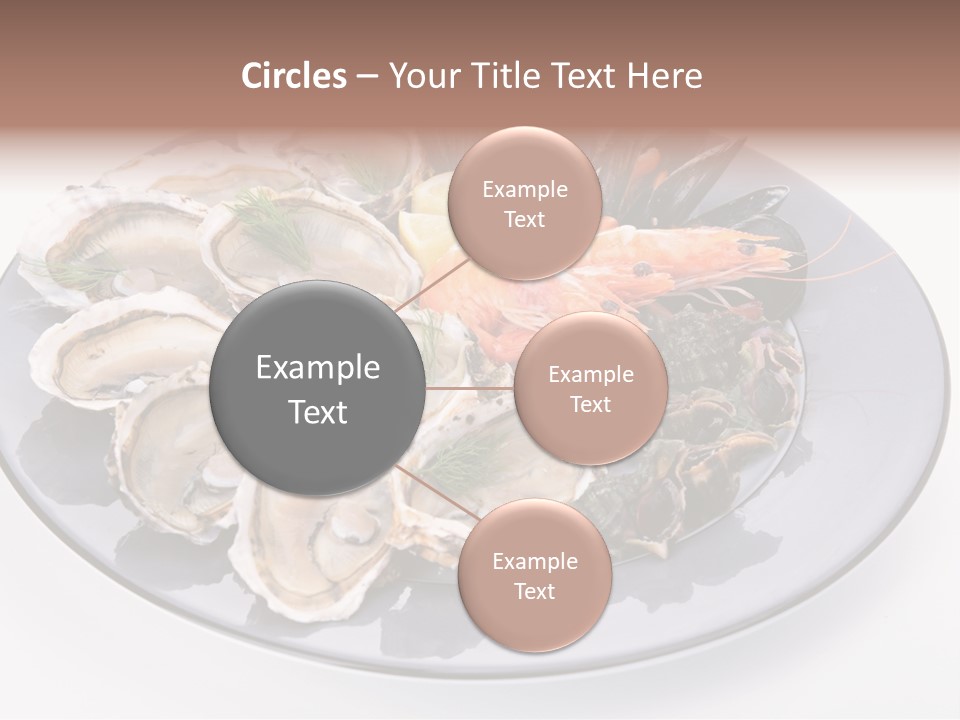 Shrimp Crustacean Cuisine PowerPoint Template