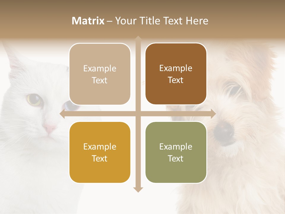 Feline Together Group PowerPoint Template