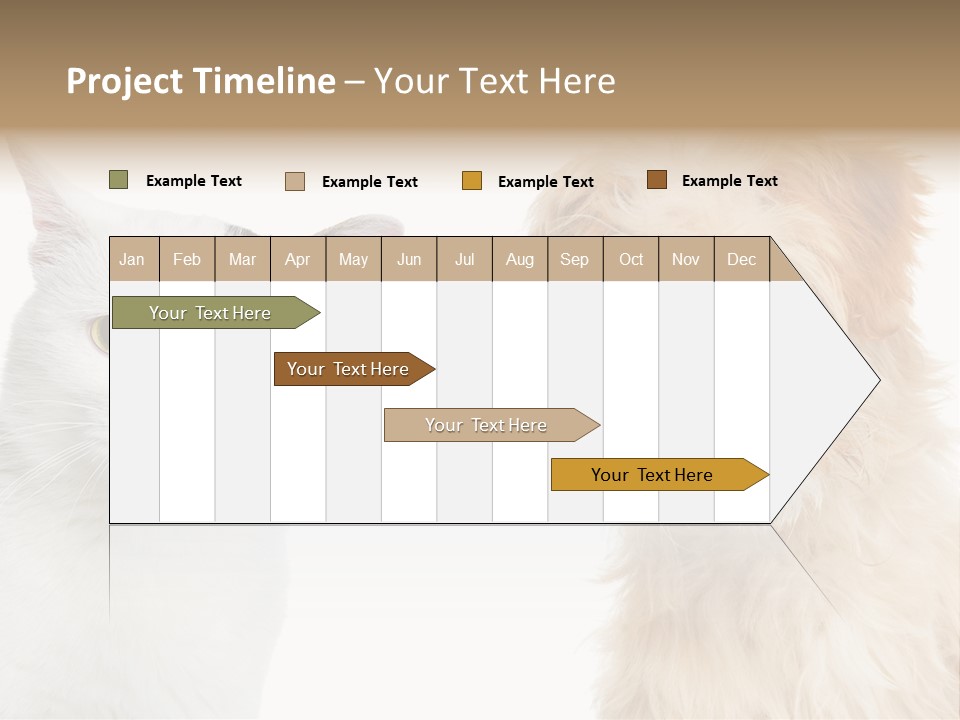 Feline Together Group PowerPoint Template
