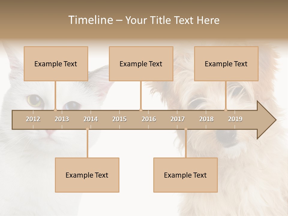 Feline Together Group PowerPoint Template